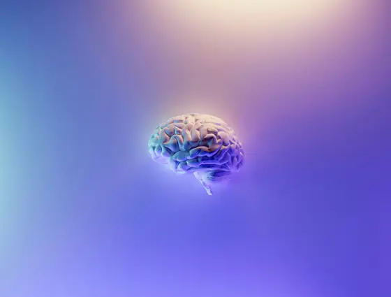 Pourquoi votre cerveau est incapable d'inventer un bon mot de passe et pourquoi ce n'est pas grave